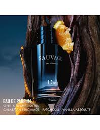 Sauvage Perfume - 100ml